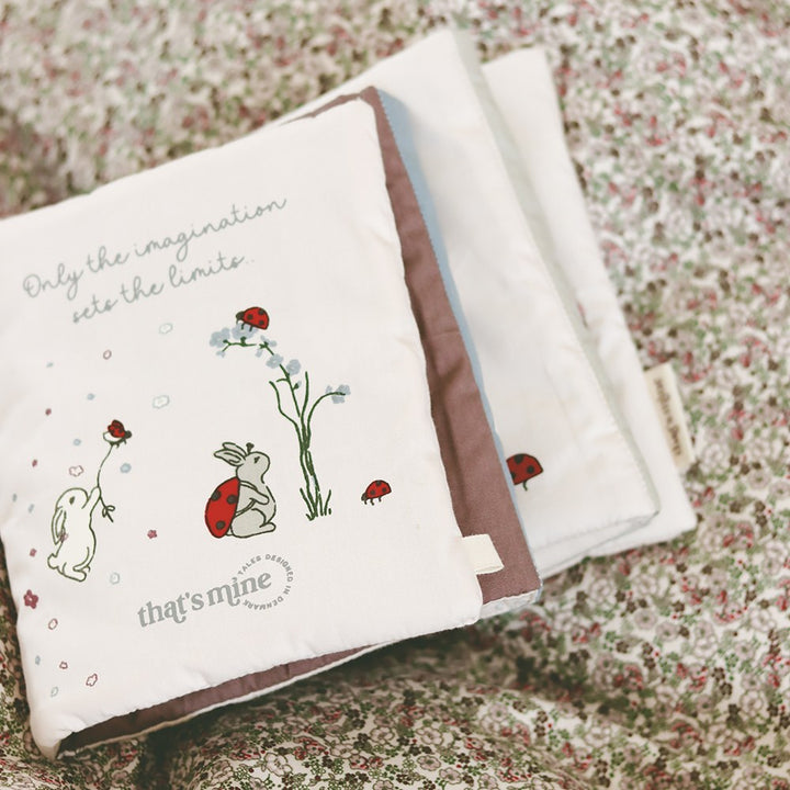 Kimmey book - Ladybug